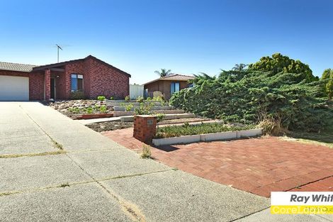 Property photo of 19B Galahad Way Carine WA 6020