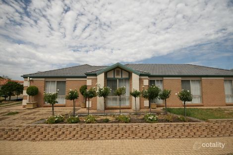 Property photo of 13 Ayers Court Morphettville SA 5043