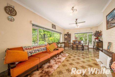 Property photo of 354 Middleborough Road Blackburn VIC 3130