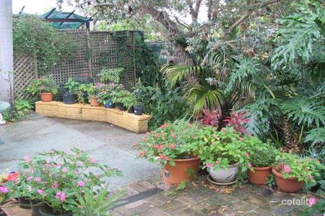 Property photo of 39 Henry Kendall Avenue Padstow Heights NSW 2211