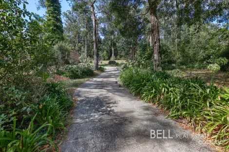 Property photo of 3 Sunnyside Terrace Emerald VIC 3782