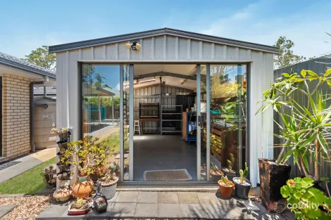 Property photo of 56 Senden Crescent Manly West QLD 4179