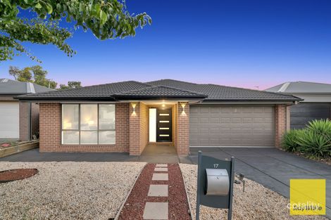 17 Brimstone Dr, Tarneit, VIC 3029