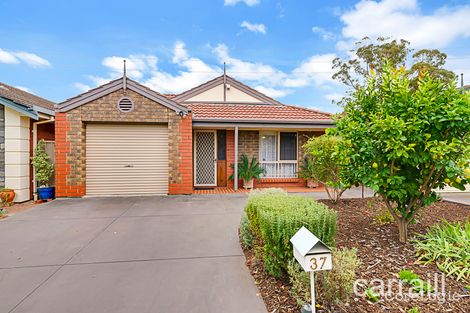 Property photo of 37 Oxford Circuit Newton SA 5074