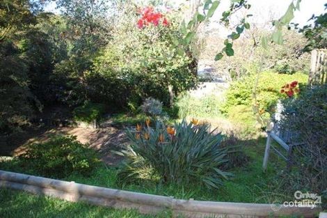 Property photo of 1A Fitzpatrick Avenue West Frenchs Forest NSW 2086