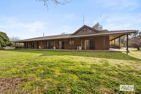 Property photo of 12 Five Chain Road Jindera NSW 2642