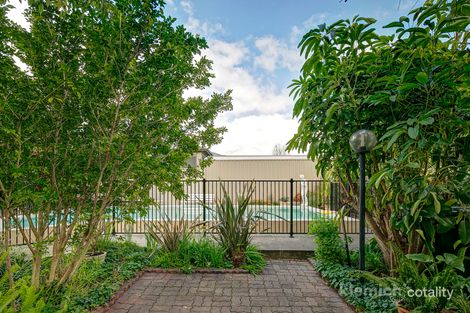 Property photo of 39 Breaker Street St Morris SA 5068