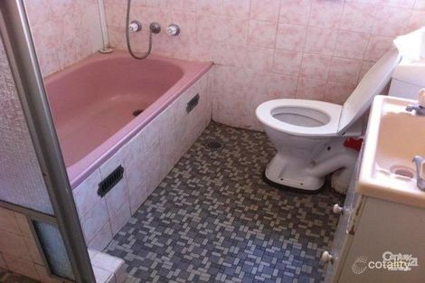 Property photo of 1 Derby Street Canley Heights NSW 2166