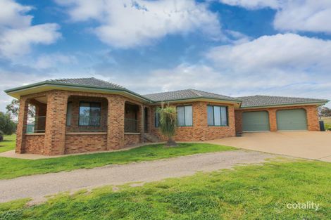 351 East St, Cartwrights Hill, NSW 2650