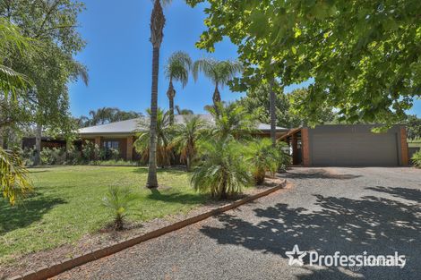 Property photo of 59 Azolia Street Red Cliffs VIC 3496