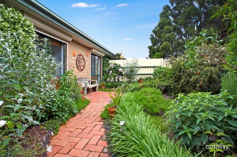 Property photo of 6 Julie Court Sunshine North VIC 3020