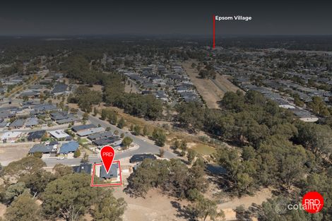 Property photo of 1 Dexter Street Ascot VIC 3551