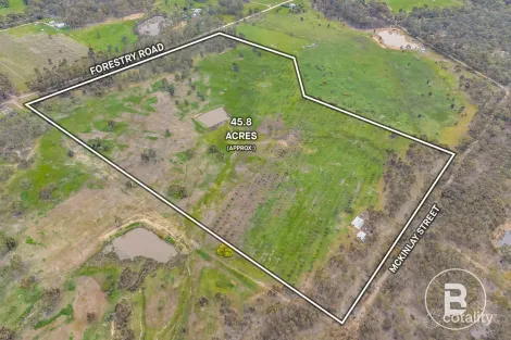 Property photo of 59 Forestry Road Landsborough VIC 3384
