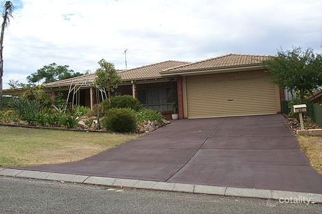 43 Arnold Cres, Kardinya, WA 6163