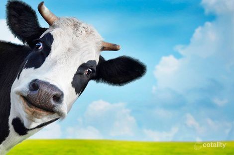 Lot 537 Berrima Rd, Marbelup, WA 6330