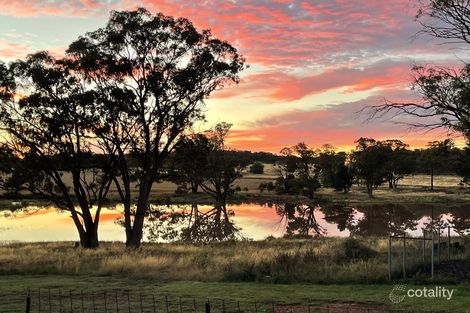 Property photo of 1100 Paynes Road North Yalgogrin NSW 2671