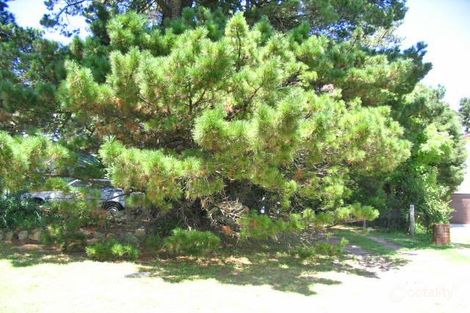 8 Weroona Ave, Woodford, NSW 2778