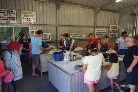 4 Dayrell Rd, Nowergup, WA 6032