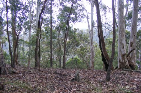 220 Moreings Rd, Myrtle Mountain, NSW 2550