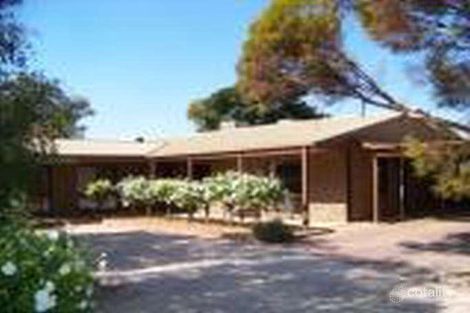 Property photo of 159 Ginquam Avenue Irymple VIC 3498