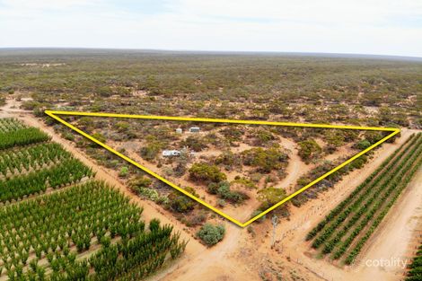 386 Ral Ral Ave, Renmark North, SA 5341