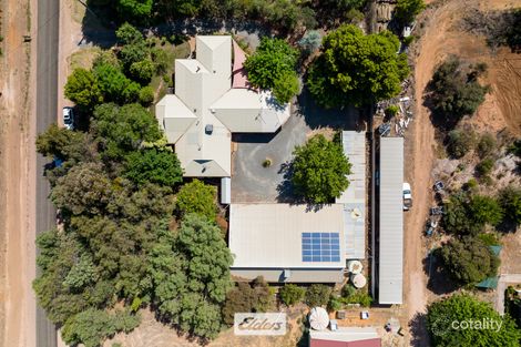 Property photo of 45 Fern Avenue Irymple VIC 3498