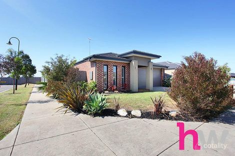 Property photo of 11 Werner Avenue Marshall VIC 3216