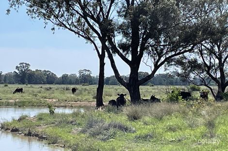 3475 Kenebri Rd, Kenebri, NSW 2396