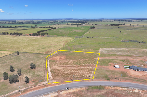 9 Scenic Dr, Forbes, NSW 2871