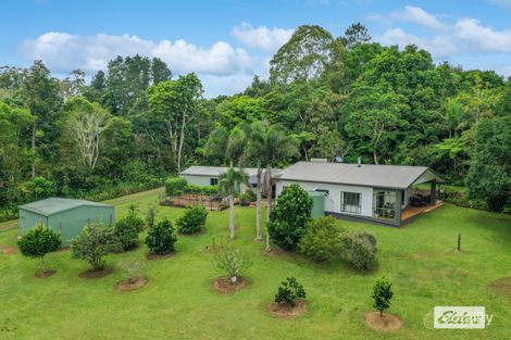 Property photo of 68 Dowling Street Malanda QLD 4885