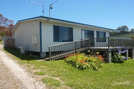 51 Walter St, Bridport, TAS 7262