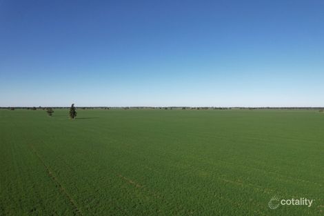 653 Bush Home Rd, Tottenham, NSW 2873