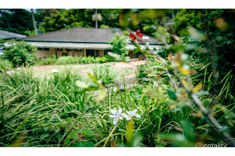 3 Ringwood Pl, Bellingen, NSW 2454