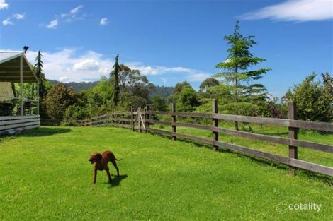 335 Strongs Rd, Jaspers Brush, NSW 2535