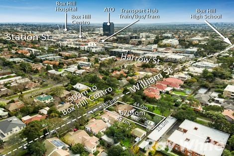 Property photo of 22 William Street Box Hill VIC 3128