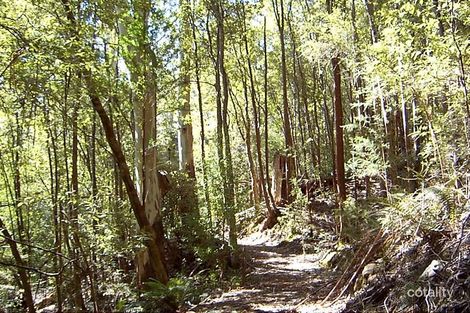 570 Doaks Rd, Lilydale, TAS 7268