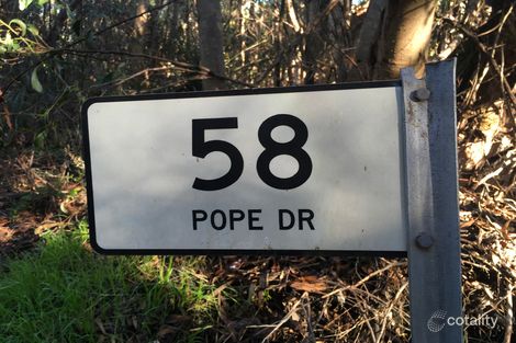 Property photo of 58 Pope Drive Charlton Gully SA 5607