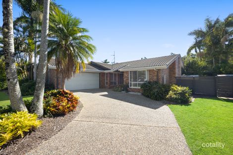 Property photo of 13 Jingellic Drive Buderim QLD 4556