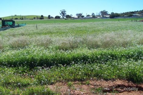 14 Green Dr, Nabawa, WA 6532