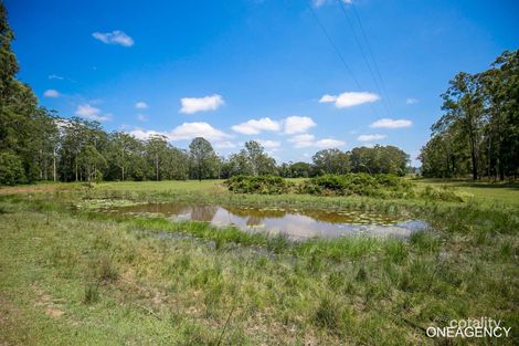 Property photo of LOT 209 Collombatti Road Collombatti NSW 2440