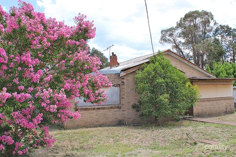 17 Dalgarno St, Coonabarabran, NSW 2357