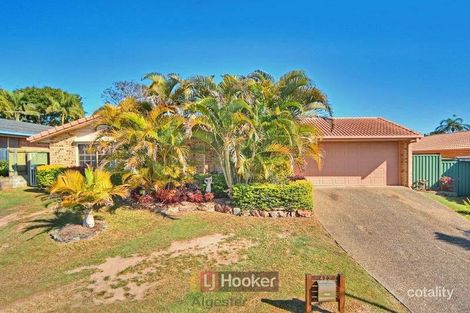 423 Algester Rd, Algester, QLD 4115