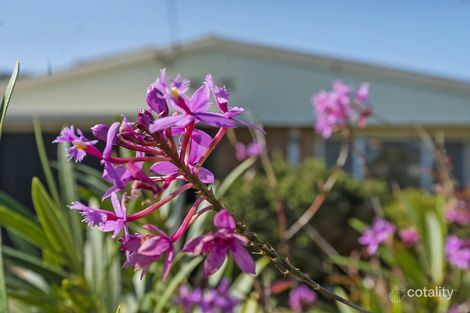 Property photo of 13 Orchid Street Bellara QLD 4507