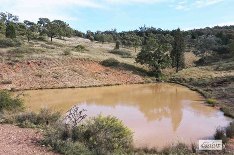 Property photo of 3712 Nanami Lane Canowindra NSW 2804