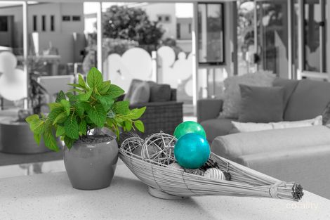 Property photo of 177 Mallawa Drive Palm Beach QLD 4221