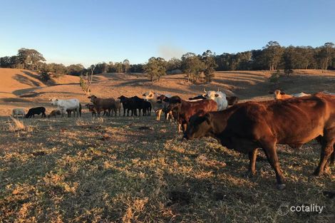 Property photo of 2653 Coaldale Road Coaldale NSW 2460