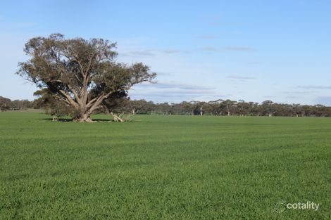 405 Sheahan Rd, Dale, WA 6304