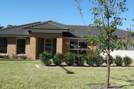 7 Dalton Tce, Harrington Park, NSW 2567