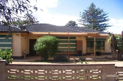 Property photo of 41 Acacia Avenue Loxton SA 5333