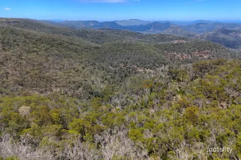 Property photo of 2515 Nullo Mountain Road Nullo Mountain NSW 2849